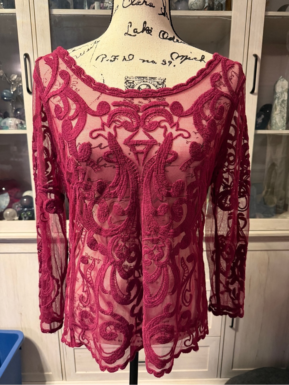 Express Sheer Embroidered Long-Sleeve Top in Berry Pink